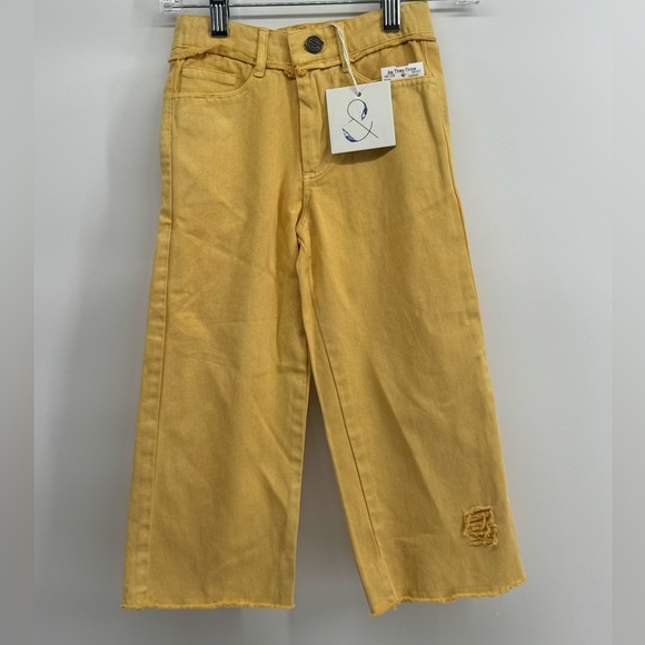 NWT Poppet & Fox distressed wide leg pants. Size 4 - Picture 1 of 6